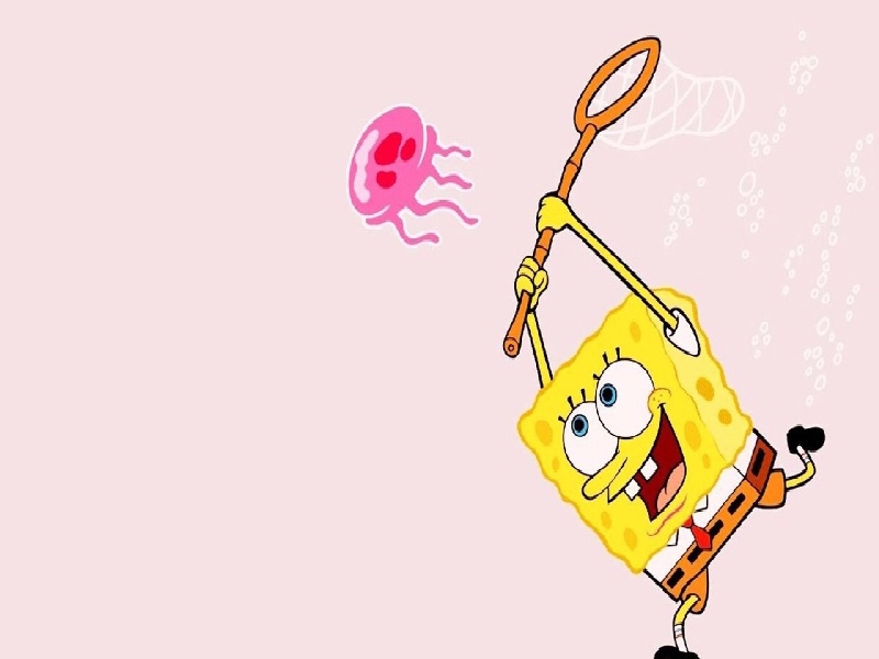 试管排卵不能移植了试管代妈吧贴试管假阳性多少天